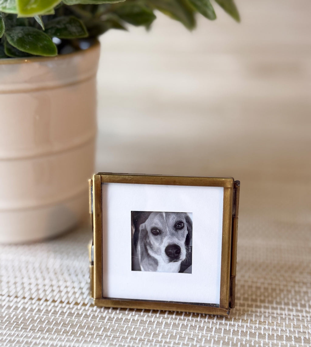 Vintage Small Brass Frame, Floating Glass with White Picture Matte | 2"x2" | Keepsake